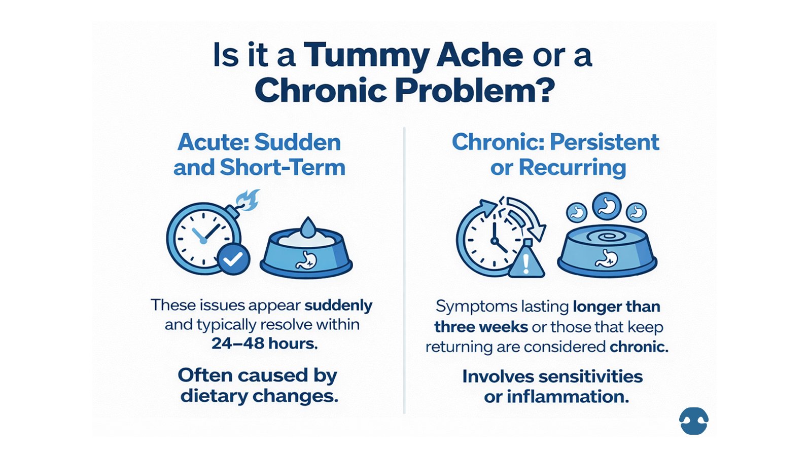 Educational graphic comparing acute and chronic digestive problems in dogs, outlining sudden short-term tummy upsets versus persistent or recurring symptoms that may indicate inflammation or sensitivities.