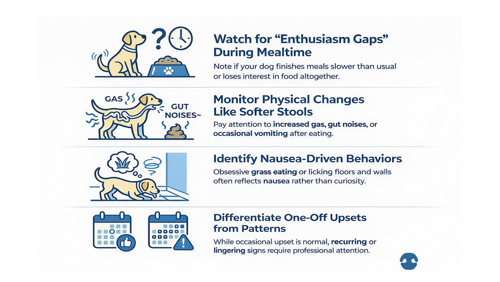 Infographic explaining digestive warning signs in dogs including slower eating, softer stools, gas, gut noises, nausea behaviours like grass eating, and when to monitor patterns versus seek veterinary attention.