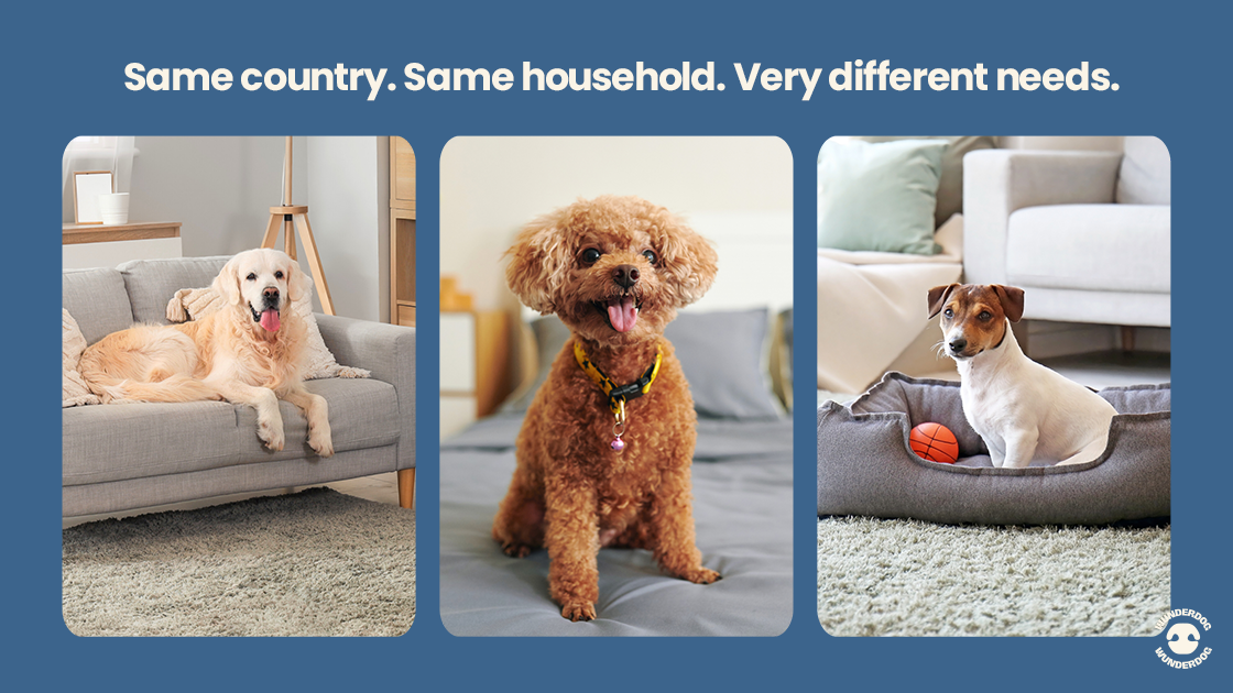 Three dogs of different breeds and sizes resting indoors, showing how dogs in the same household can have very different nutrition needs.