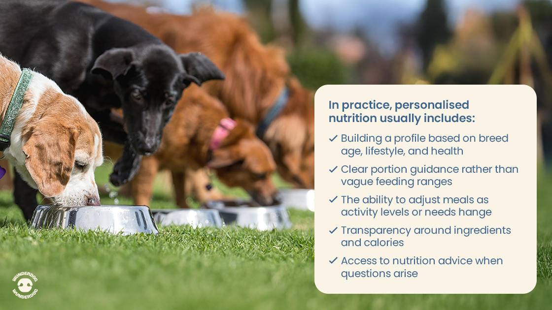 Dogs eating from bowls outdoors beside a text box listing what personalised dog nutrition includes, such as breed, age, lifestyle, portions, and ingredient transparency.