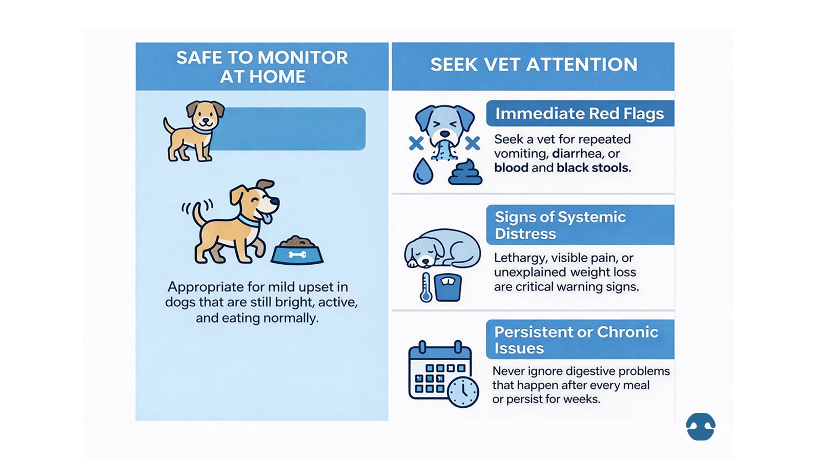 Dog health infographic showing when mild digestive upset can be monitored at home versus red flags such as repeated vomiting, diarrhoea, blood in stool, lethargy, weight loss, or persistent digestive problems requiring veterinary care.