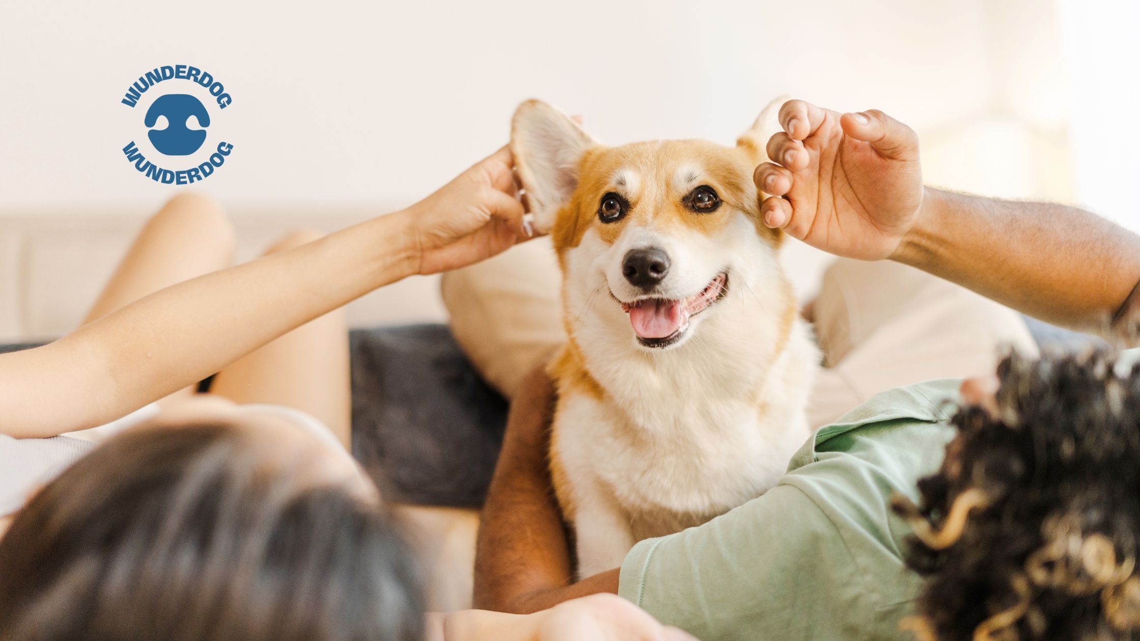 Happy dog relaxing at home with its owners, enjoying a calm and loving moment.