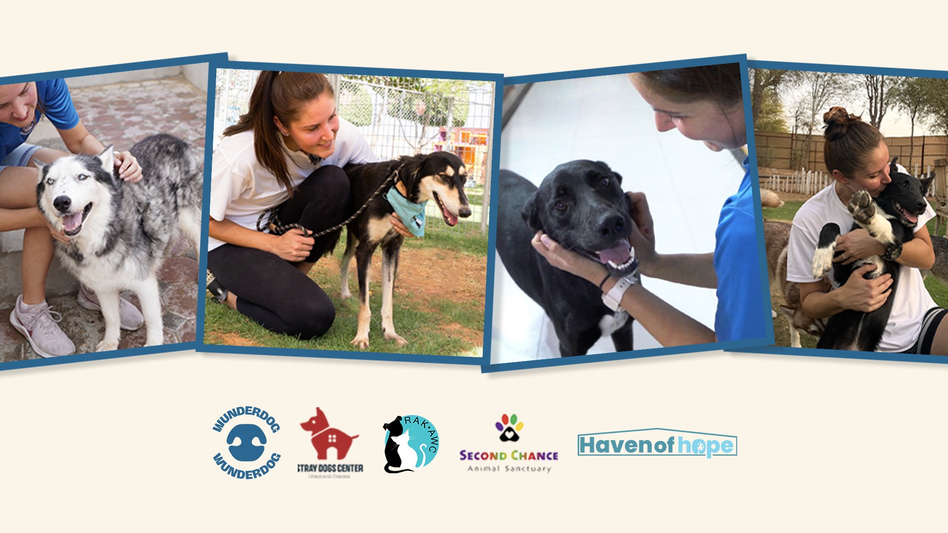 Collage of rescue dogs with volunteers from RAKAWC, Second Chance Animal Sanctuary, Stray Dogs Center, and Haven of Hope supported by Wunderdog’s Gift a Meal programme.