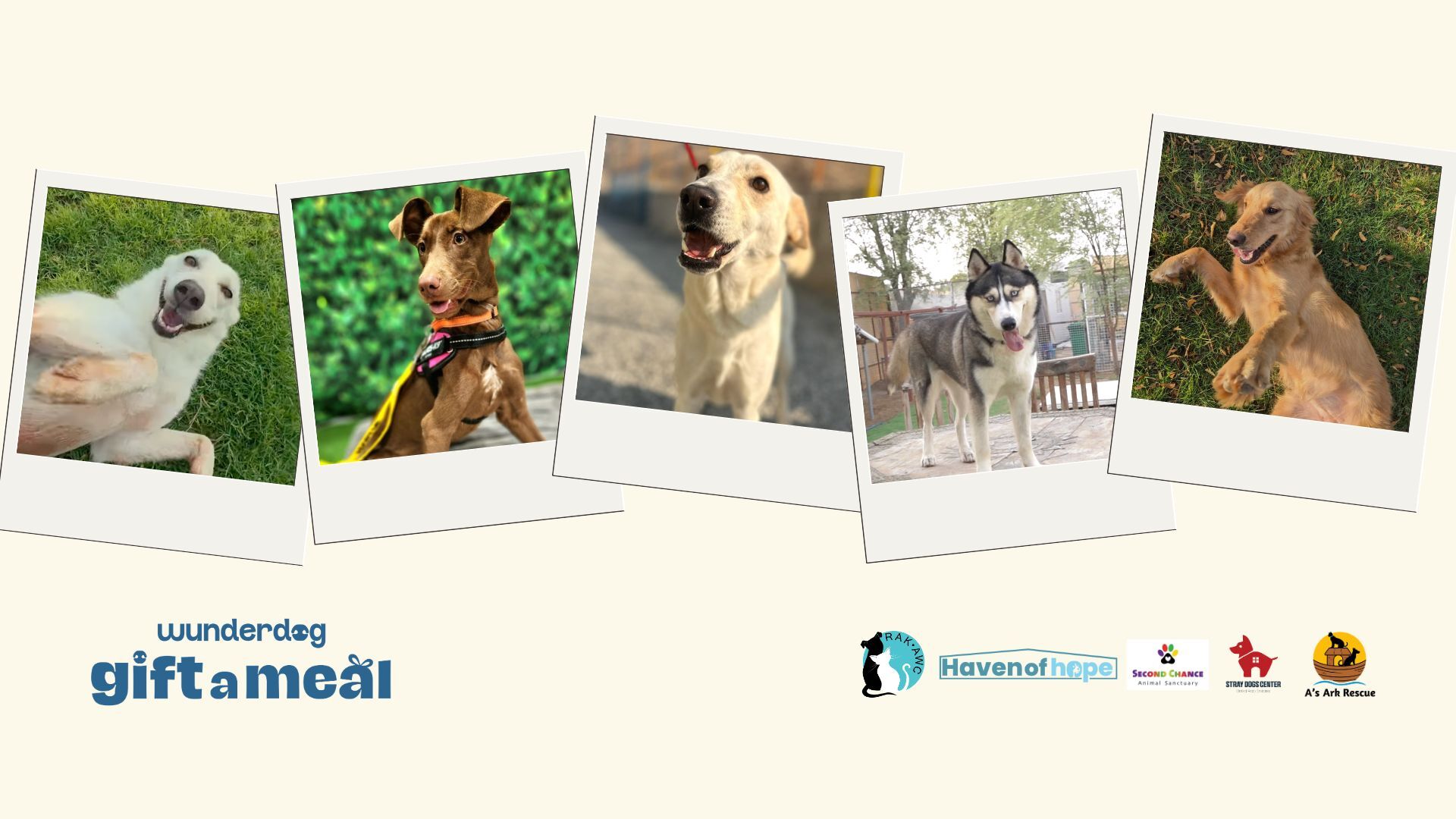 Wunderdog Gift a Meal campaign featuring rescue dogs and UAE rescue partners including RAK Animal Welfare Centre, Haven of Hope, Second Chance Animal Sanctuary, Stray Dogs Center and A’s Ark Rescue.