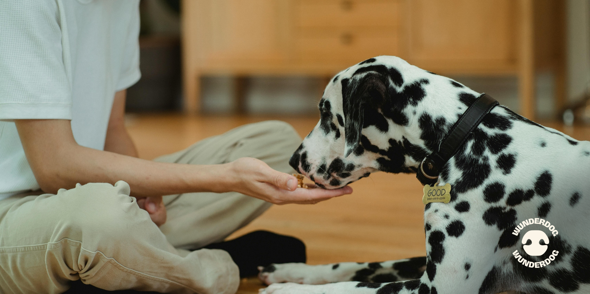What Quality Nutrition Really Means for Your Dog