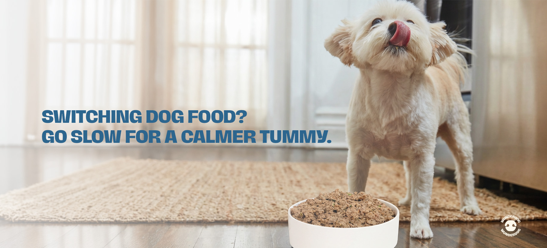 Small dog standing next to bowl of food indoors with text overlay about switching dog food slowly for a calmer tummy